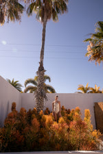 Load image into Gallery viewer, Dafne Nilo One Piece