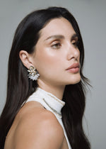 Load image into Gallery viewer, Earrings Zaria