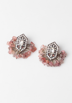 Load image into Gallery viewer, Coco Loco Earrings