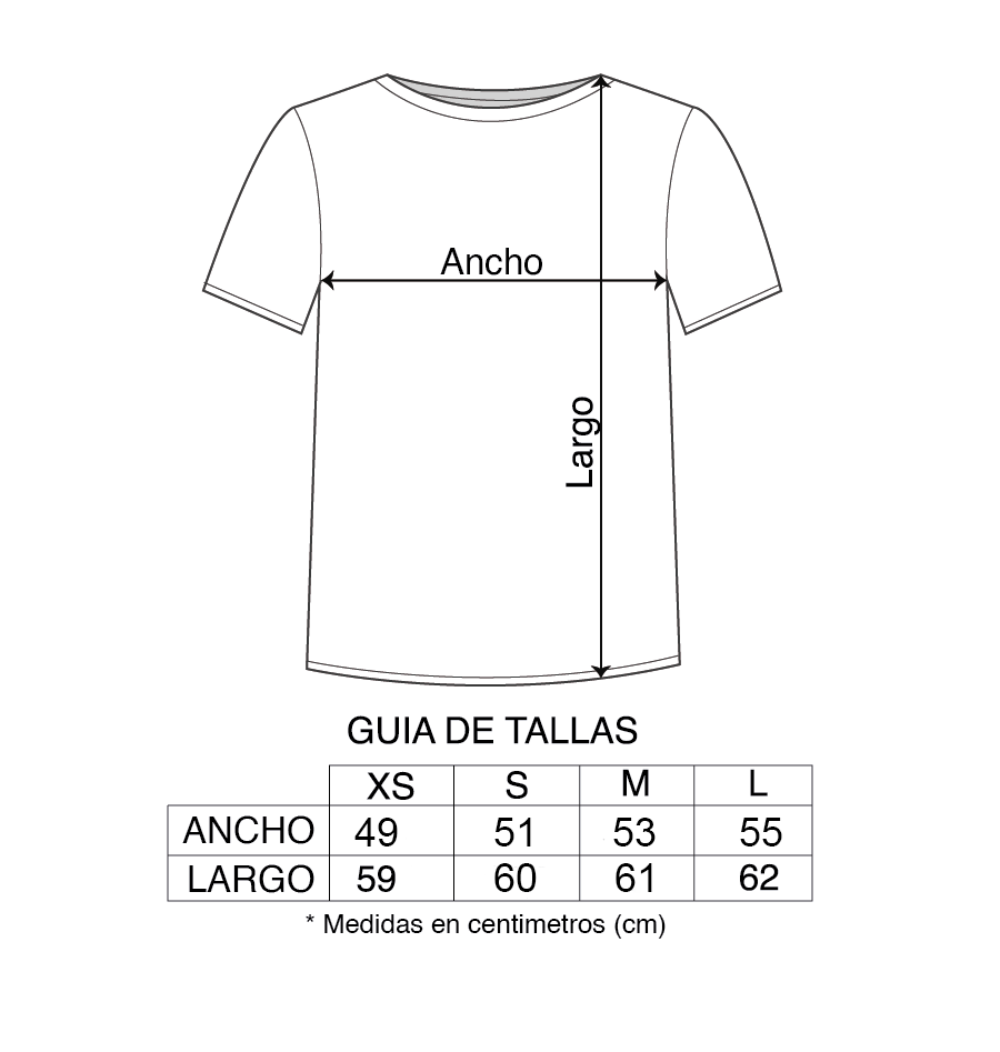 Lo Que Pasó, Pasó Embroidered t-shirt
