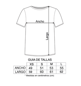 Lo Que Pasó, Pasó Embroidered t-shirt