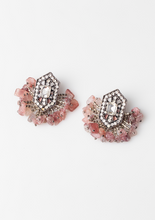 Load image into Gallery viewer, Coco Loco Earrings
